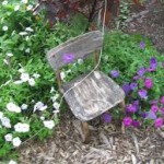 Garden scene